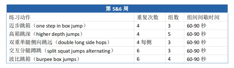 Pakorur(跑酷)爆发力训练(快速伸缩复合训练)-跑酷中文网
