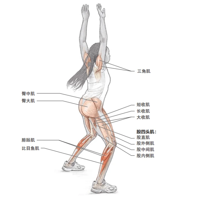 爆发力训练，这些跳跃训练可以试一试！-跑酷中文网