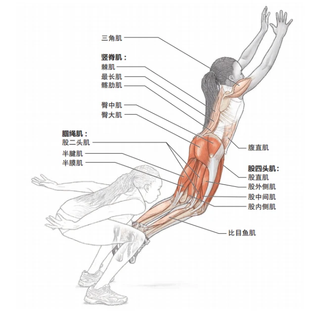 爆发力训练，这些跳跃训练可以试一试！-跑酷中文网