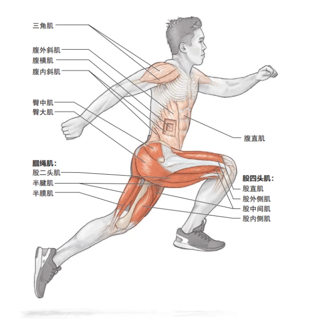 爆发力训练，这些跳跃训练可以试一试！-跑酷中文网