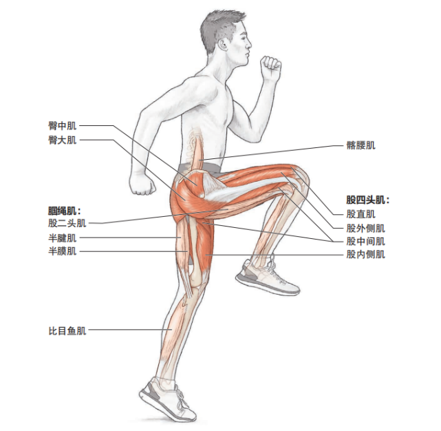 爆发力训练，这些跳跃训练可以试一试！-跑酷中文网
