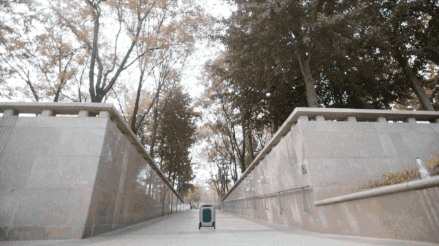 中国跑酷全才「丁雄烁」2020个人宣传片-跑酷中文网