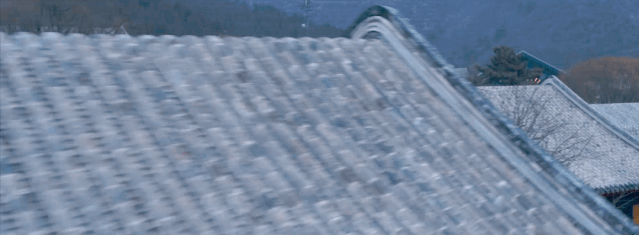 中国跑酷全才「丁雄烁」2020个人宣传片-跑酷中文网