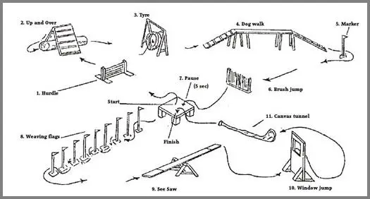 《流年与沉淀》第九期:我来重编跑酷历史-跑酷中文网