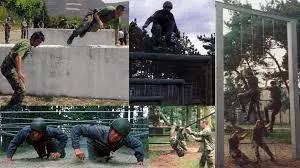 《流年与沉淀》第九期:我来重编跑酷历史-跑酷中文网